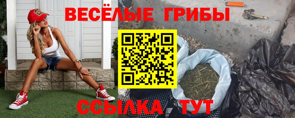 Галлюциногенные грибы GOLDEN TEACHER Видное